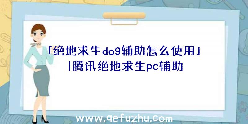 「绝地求生dog辅助怎么使用」|腾讯绝地求生pc辅助